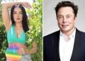 Celina Jaitly schools Musk after Amitabh tweets he paid for blue tick