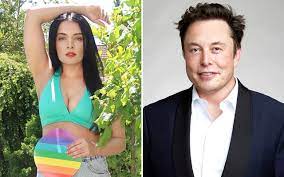 Celina Jaitly schools Musk after Amitabh tweets he paid for blue tick