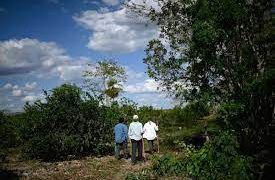 Scientists prepare for future pandemics in Mexican jungle