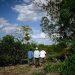 Scientists prepare for future pandemics in Mexican jungle