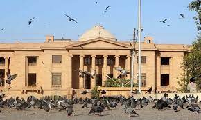 Sindh High Court releases over 40 PTI workers including 2 UC Chairmen