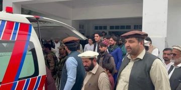 Eight government teachers killed in Parachinar,