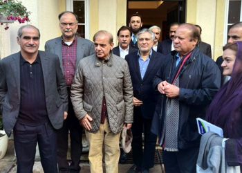 PML-N opts for seat adjustments over alliances in elections 2023
