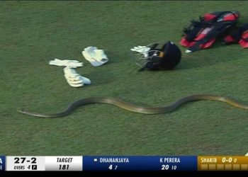 Snake Spotted During LPL Match