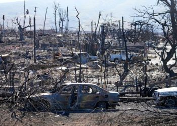 Hawaii wildfire,  death toll reaches to 106