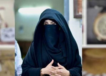 Bushra Bibi seeking NRO from friendly Islamic country, PDM