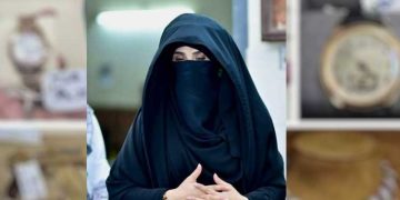 Bushra Bibi seeking NRO from friendly Islamic country, PDM