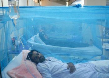 Dengue cases on the rise in Sindh