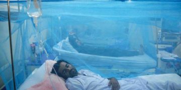 Dengue cases on the rise in Sindh