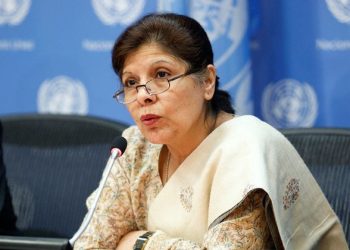 Caretaker finance minister approves petrol margin increase in ECC meeting