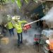 Dengue cases surge past 10,000 in Taiwan