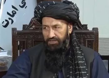 Taliban govt already declared ‘attack on Pakistan not jihad’, says Afghan diplomat