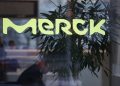 Merck says multiple sclerosis drug has blockbuster potential