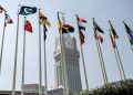 Pakistan in OIC meeting calls for ‘immediate end to Israeli terror campaign’ in Gaza