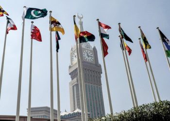 Pakistan in OIC meeting calls for ‘immediate end to Israeli terror campaign’ in Gaza