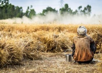 World Bank asks Pakistan to tax agricultural, real estate sectors