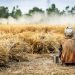 World Bank asks Pakistan to tax agricultural, real estate sectors