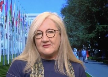 WHO ‘begging for a ceasefire’ amid Gaza’s dire health crisis