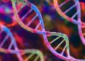 UK authorises gene therapy for blood disorders