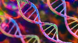 UK authorises gene therapy for blood disorders