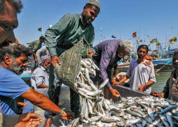 Pakistan secures two-year extension in MMPA exemption period