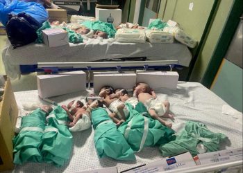 Palestinian Red Crescent evacuates 31premature babies from Al Shifa Hospital
