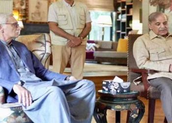 PML-N, IPP agree on seat adjustments in Punjab