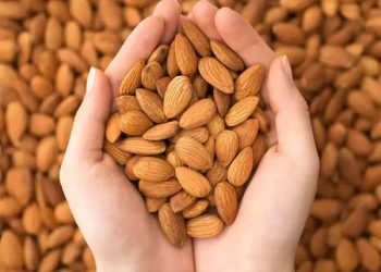 Almonds: Science backs this nut’s superpowers, find how you to eat them