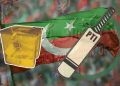 ECP strips PTI of its ‘bat’ symbol ahead of general elections