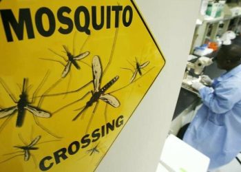 World at risk of losing malaria fight, report