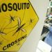 World at risk of losing malaria fight, report