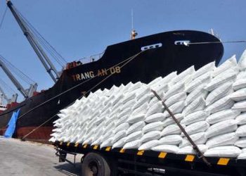 First urea shipment reaches at Karachi port