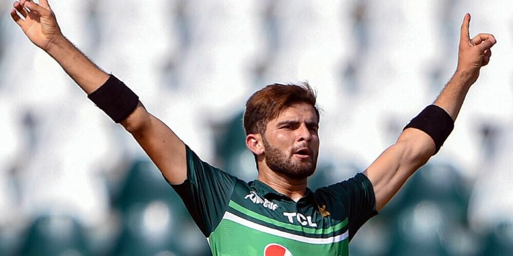 Shaheen Afridi named vice-captain for Test team