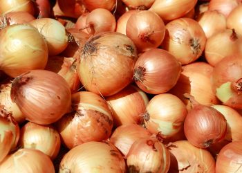 Onion price reaches all time high Rs320 per kg