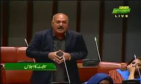 Senate adopts resolution seeking ‘severe punishment’ for propaganda against army