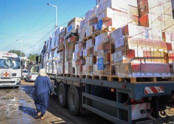 WHO axes medical aid delivery to north Gaza in absence of security guarantees