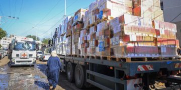 WHO axes medical aid delivery to north Gaza in absence of security guarantees