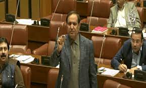 Thin attendance of Senate passes resolution seeking delay in elections