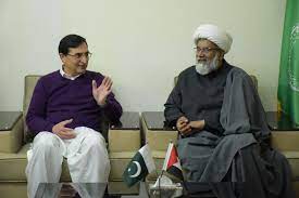 PTI backed independent candidates to join Sunni Ittehad Council, MWM