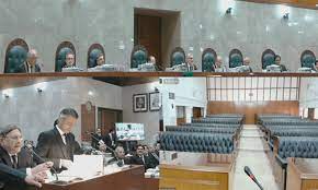 CJP sees Bhutto reference as opportunity for judiciary, army to restore reputation