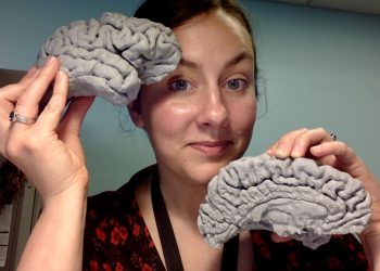 Scientists achieve milestone in neuroscience with 3D-printed brain tissue