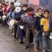 Children in Gaza surviving on bitter loaves made from animal feed
