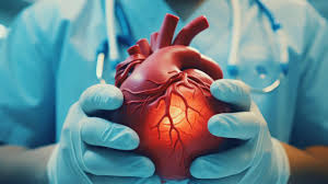 Scientists create gel to mend broken hearts
