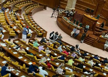 PPP to vote PML-N candidates for Speaker, CM slot in Punjab