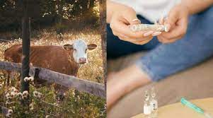 Brazil may find ‘potential’ diabetes cure in groundbreaking research