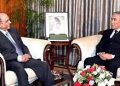 President Zardari stresses on early completion of TAPI pipeline
