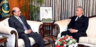 President Zardari stresses on early completion of TAPI pipeline