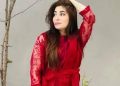 Man arrested for trespassing Gul Panra’s house multiple times