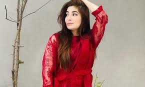 Man arrested for trespassing Gul Panra’s house multiple times