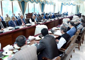 Govt forms SIFC cabinet committee to boost investment